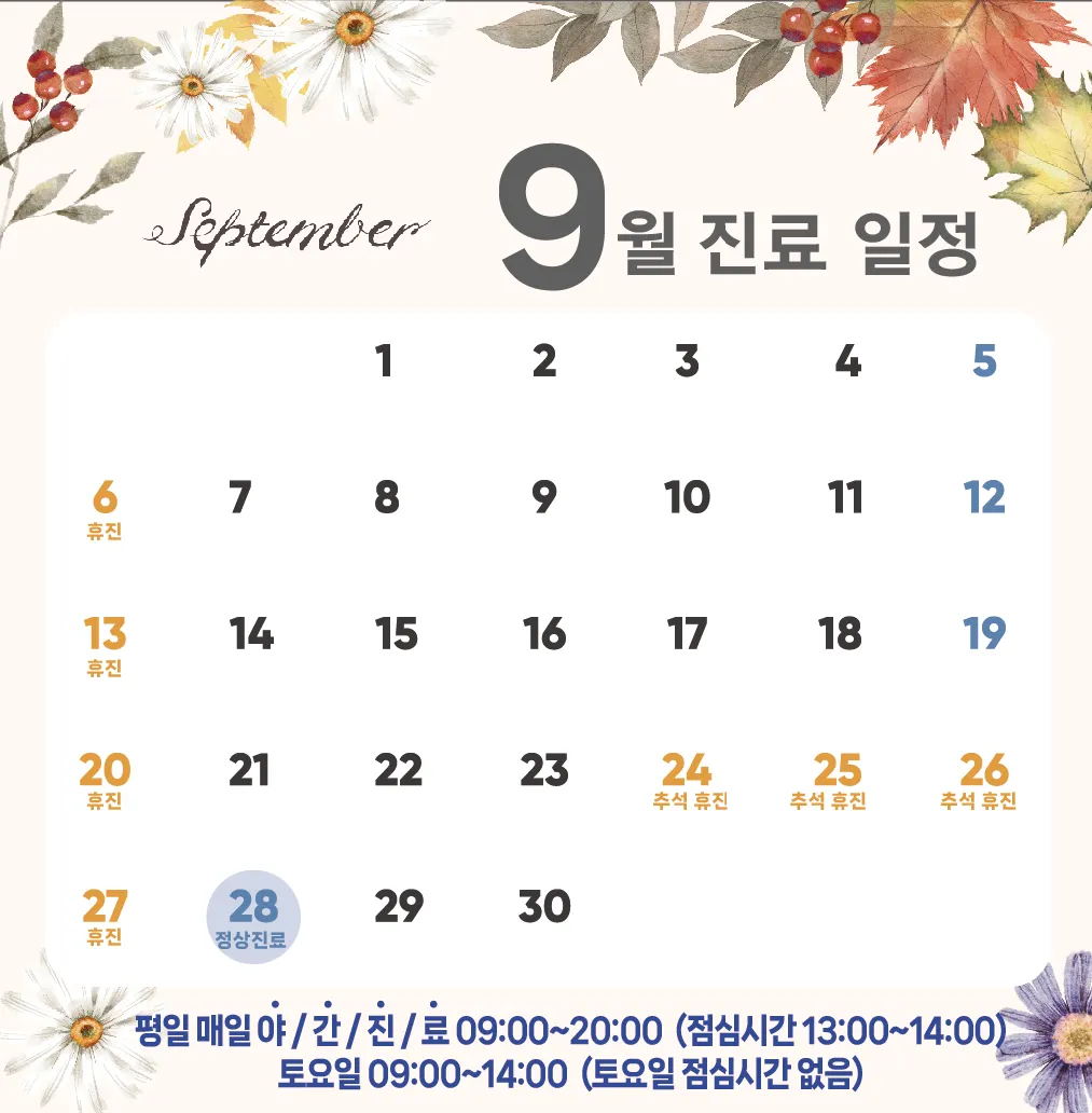9월 일정