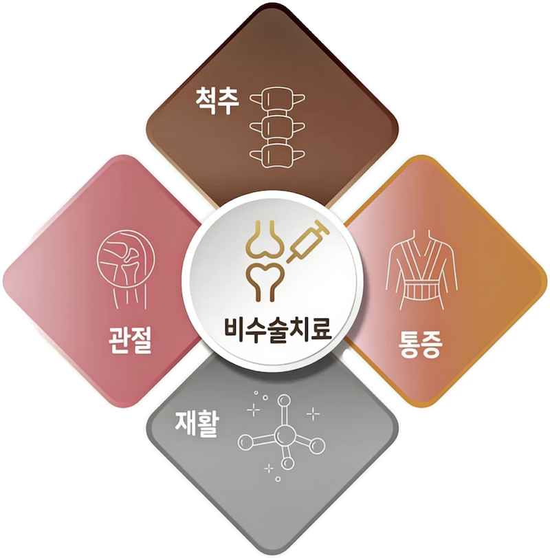 비수술치료 — 척추·관절·통증·재활